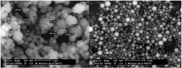 Microsphere-1250